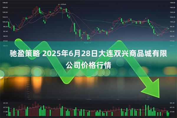 驰盈策略 2025年6月28日大连双兴商品城有限公司价格行情
