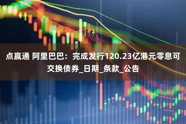 点赢通 阿里巴巴：完成发行120.23亿港元零息可交换债券_日期_条款_公告