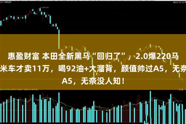 惠盈财富 本田全新黑马“回归了”，2.0爆220马力，近5米车才卖11万，喝92油+大溜背，颜值帅过A5，无奈没人知！