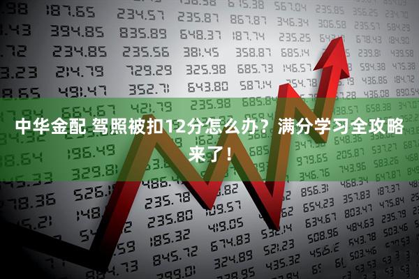 中华金配 驾照被扣12分怎么办？满分学习全攻略来了！