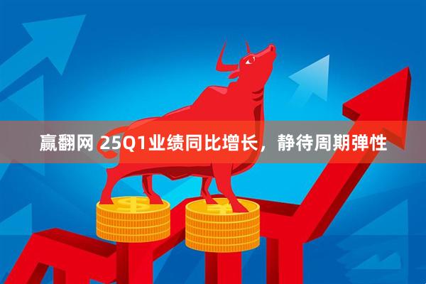 赢翻网 25Q1业绩同比增长，静待周期弹性